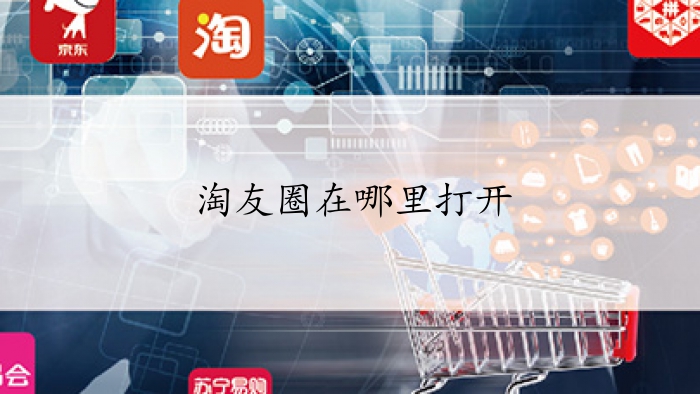 淘友圈在哪里打开