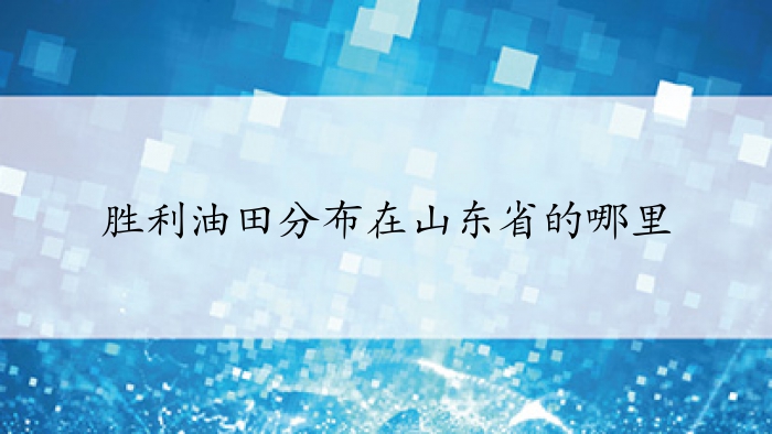 胜利油田分布在山东省的哪里