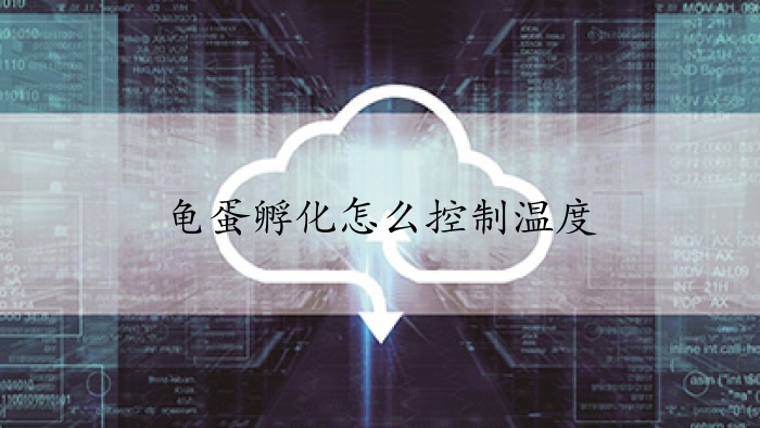 龟蛋孵化怎么控制温度